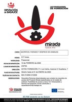 Clic para ampliar imágen