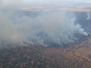 Estabilizado el incendio de Burguillos del Cerro de este pasado viernes