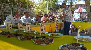 Valencia del Ventoso celebrará su XI Feria Gastronómica y el XXXIV Día del Garbanzo trabajando por conseguir la Indicación Geográfica Protegida