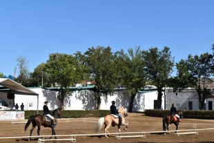 El Carrusel Ecuestre se celebrará el día 21 de septiembre en Zafra con más de una veintena de participantes