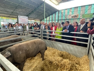 El alcalde de Zafra defiende el papel de la FIG como escaparate de la ganadería extensiva y pide ayuda a las administraciones