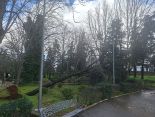 El Ayuntamiento de Los Santos de Maimona iniciará un plan de reparación integral tras los daños causados por el temporal