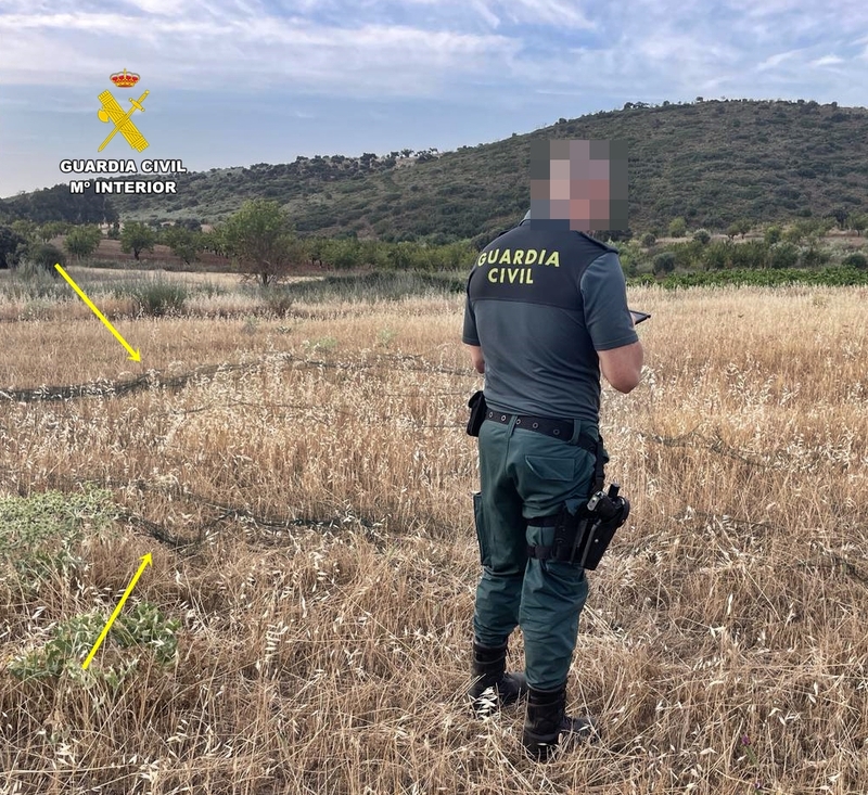 La Guardia Civil sorprende a dos cazadores furtivos en Fuente del Maestre